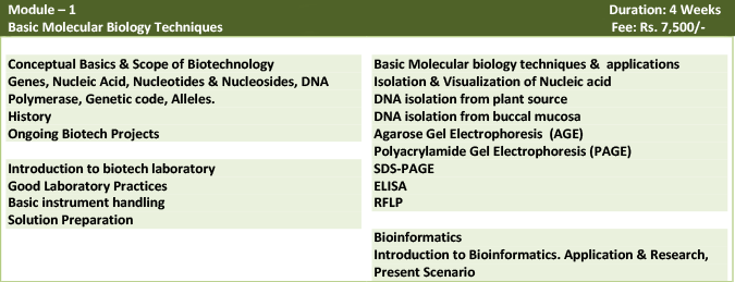 molecular biotechnology training institute in delhi